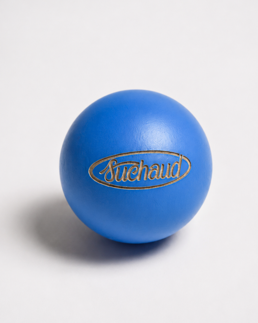 But - Logo Suchaud