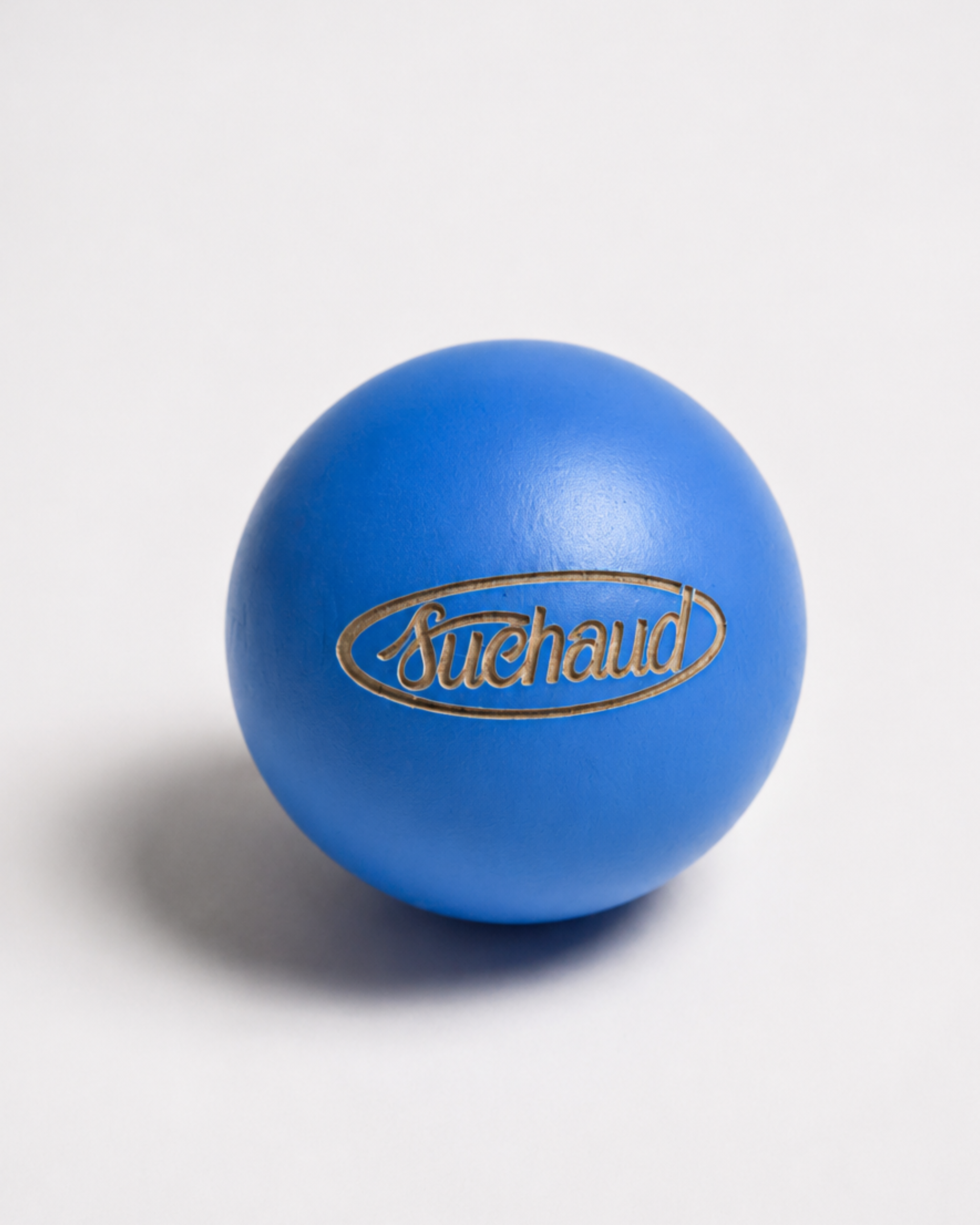 But - Logo Suchaud