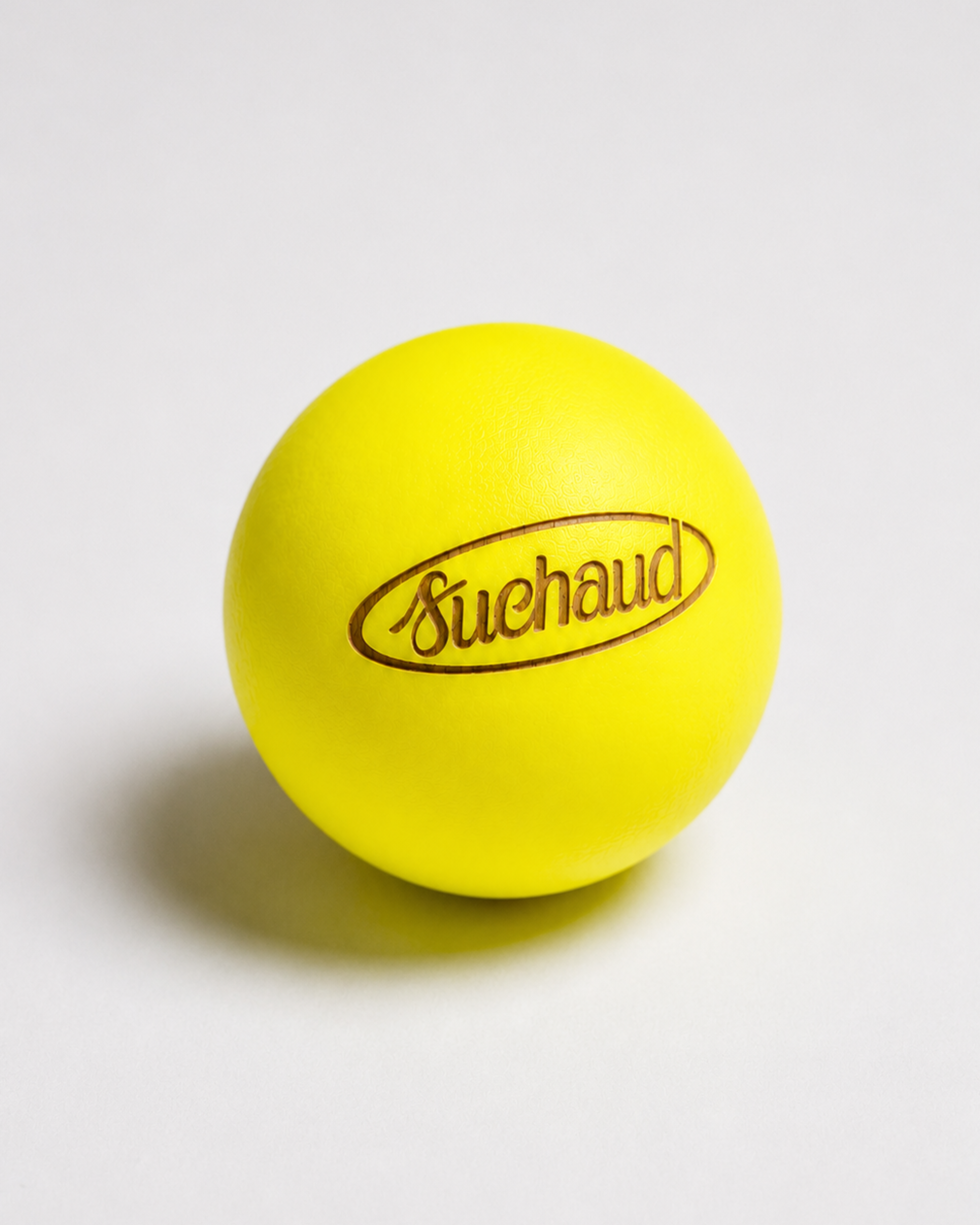 But - Logo Suchaud