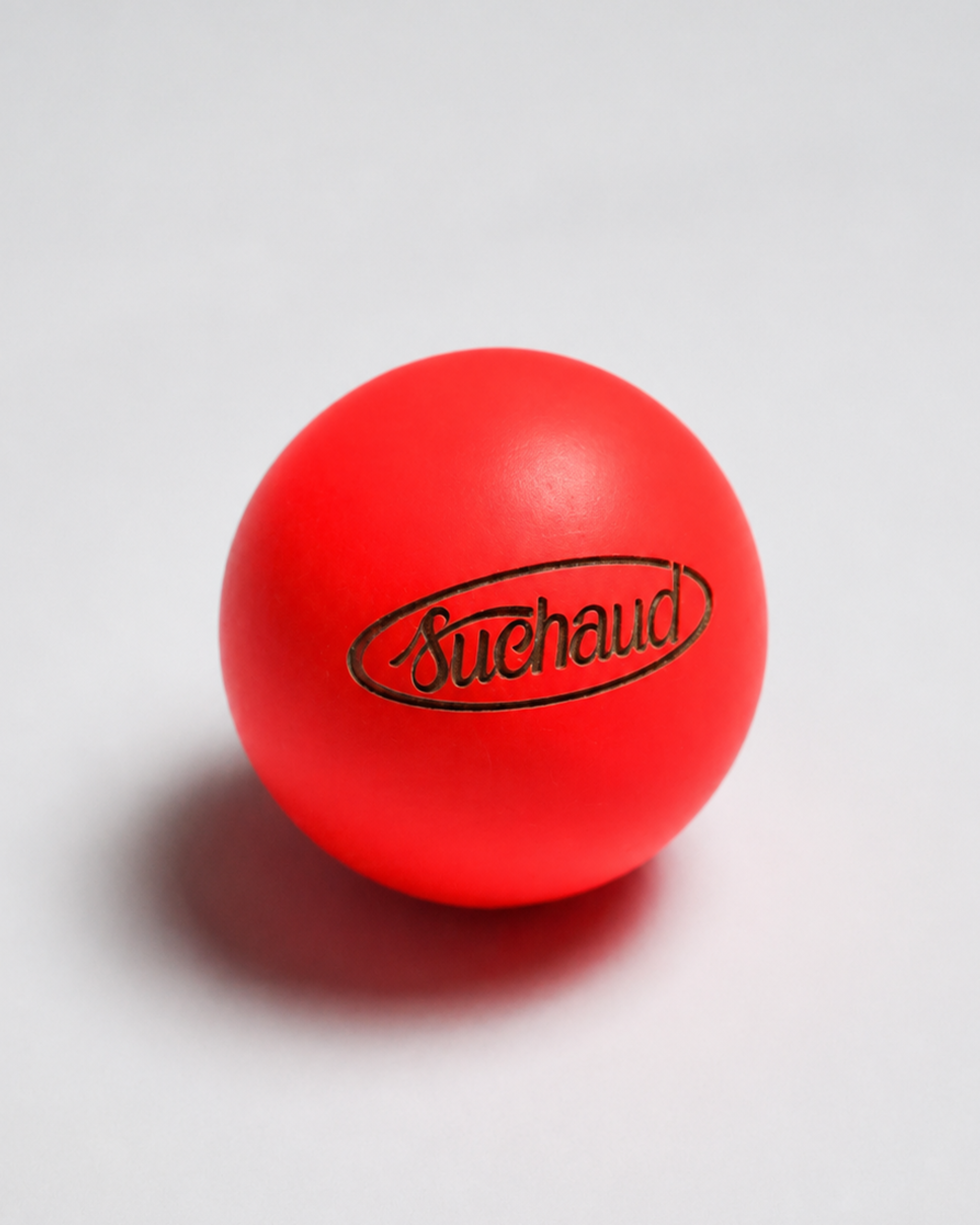 But - Logo Suchaud