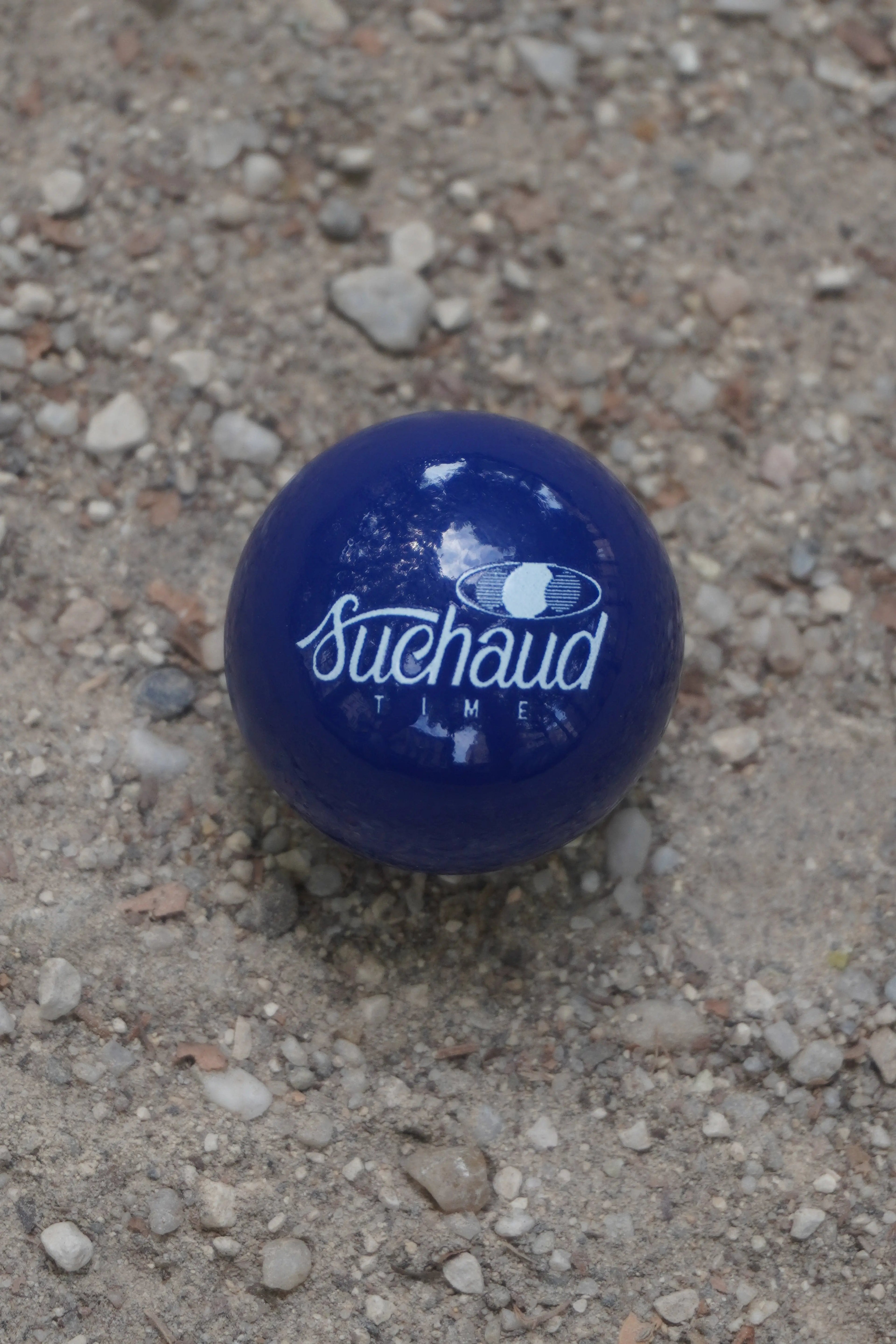 But Logo Suchaud